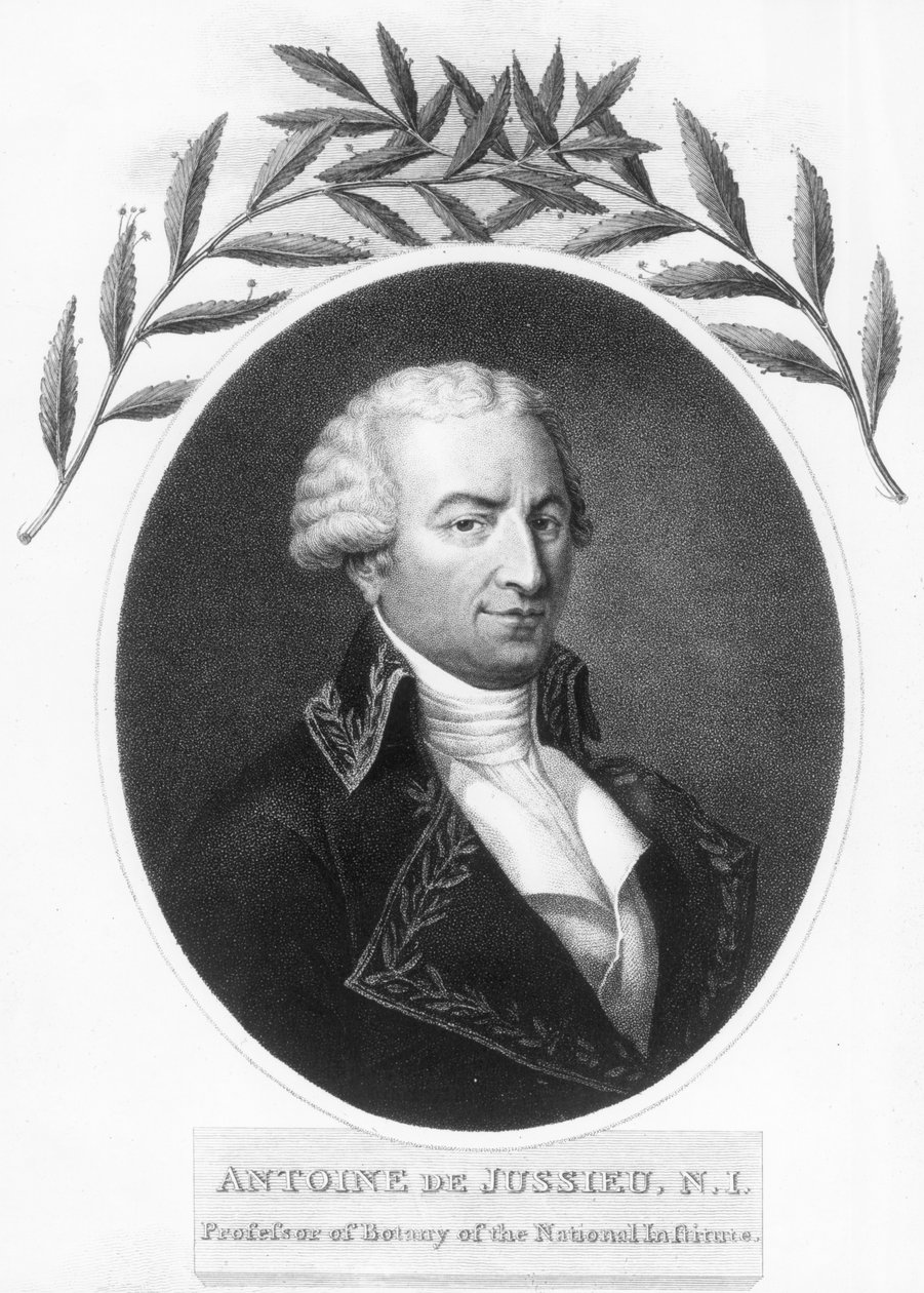 Antoine de Jussieu, botaniste français du 18ème siècle, 1807 - Unbekannt