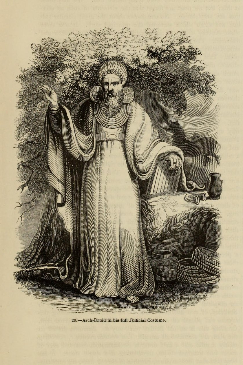 Archidruide en costume judiciaire complet Du livre Old England: A Pictorial Museum, 1845 - Unbekannt