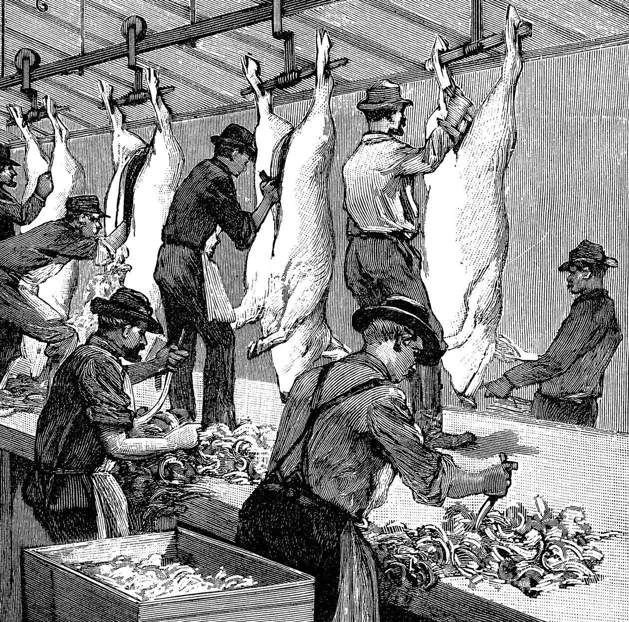 Abattoir de porcs de la société Armour, Chicago, Illinois, USA - Unbekannt