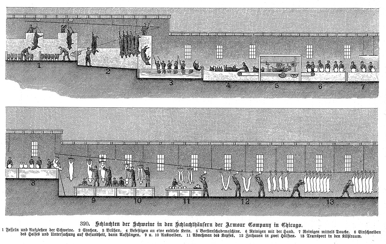 Abattoir de porcs de la compagnie Armour, Chicago, Illinois, États-Unis, 1895 - Unbekannt