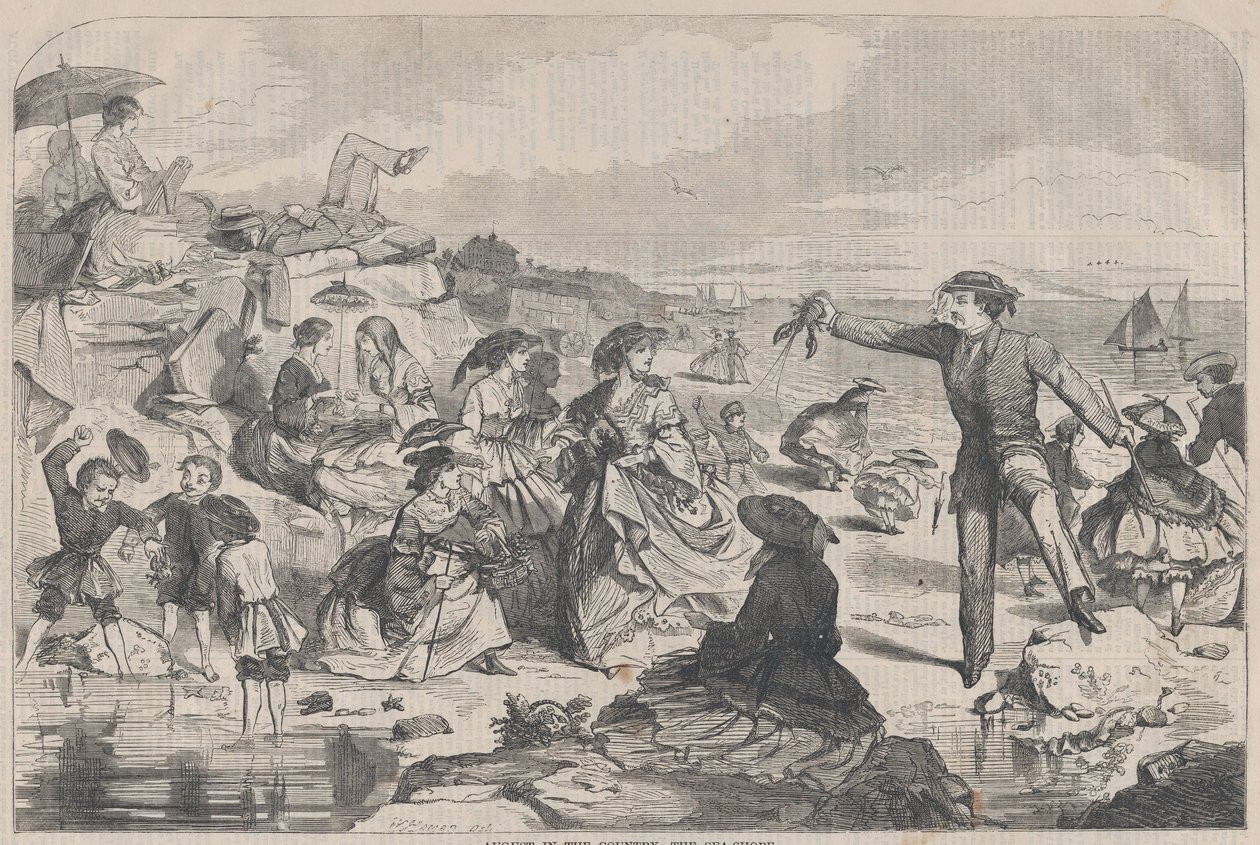 Août à la campagne - Le bord de mer Harper