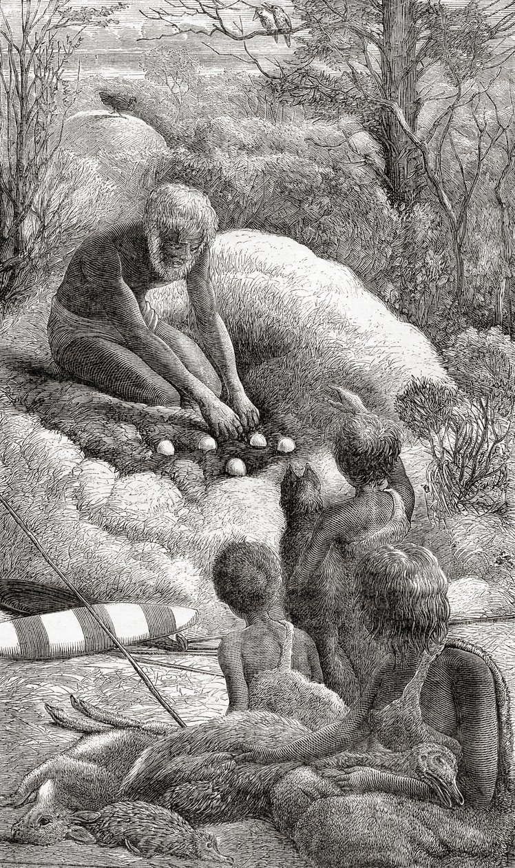 Des aborigènes australiens examinent le nid d