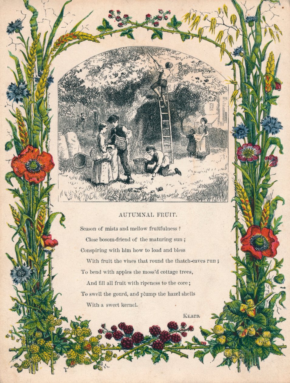 Fruits automnaux par Keats, vers 1900 - Unbekannt