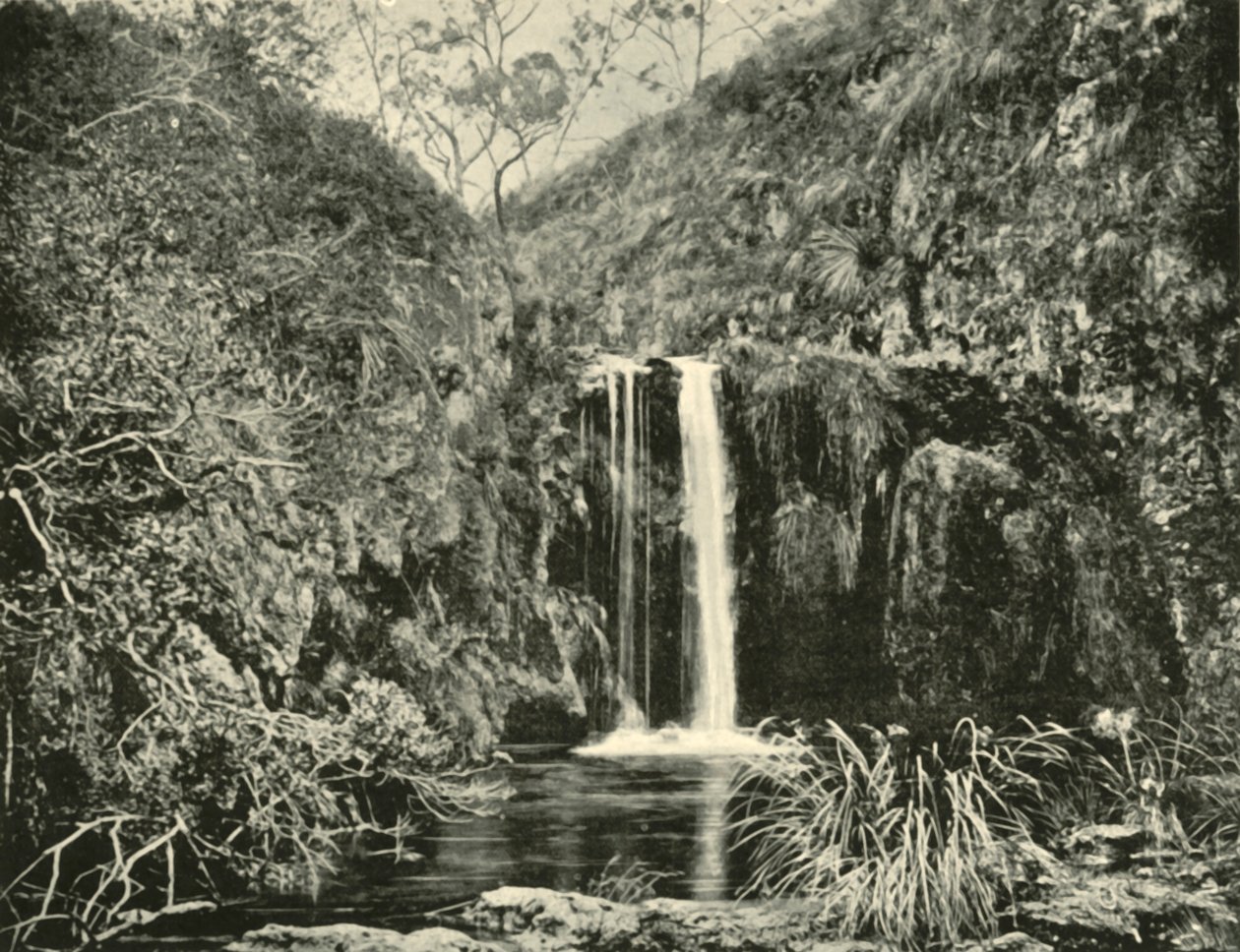Chutes de Back Creek, rivière Buchan, Victoria - Unbekannt
