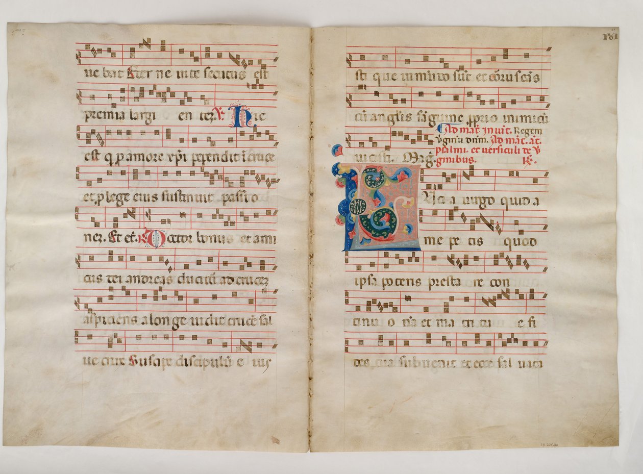 Bifolium avec initiale L, d