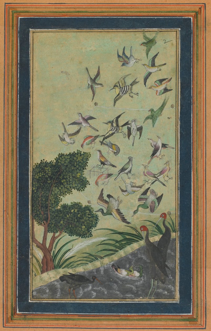 Oiseaux à Baran, peut-être du Babur-nama, fin XVIe siècle - Unbekannt