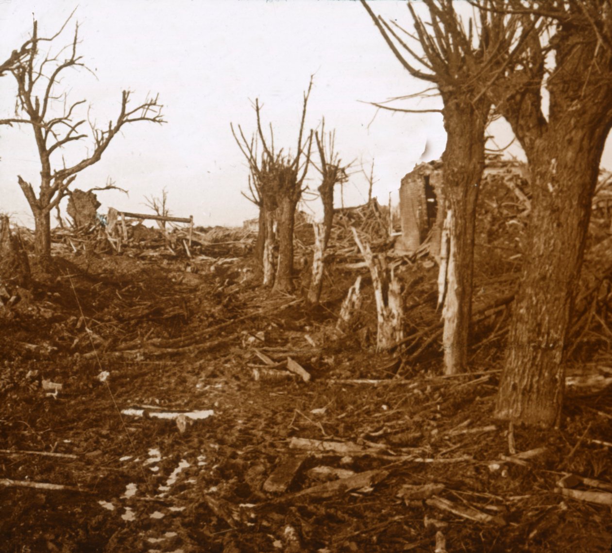 Paysage dévasté, Belloy-en-Santerre, nord de la France, vers 1914-1918 - Unbekannt