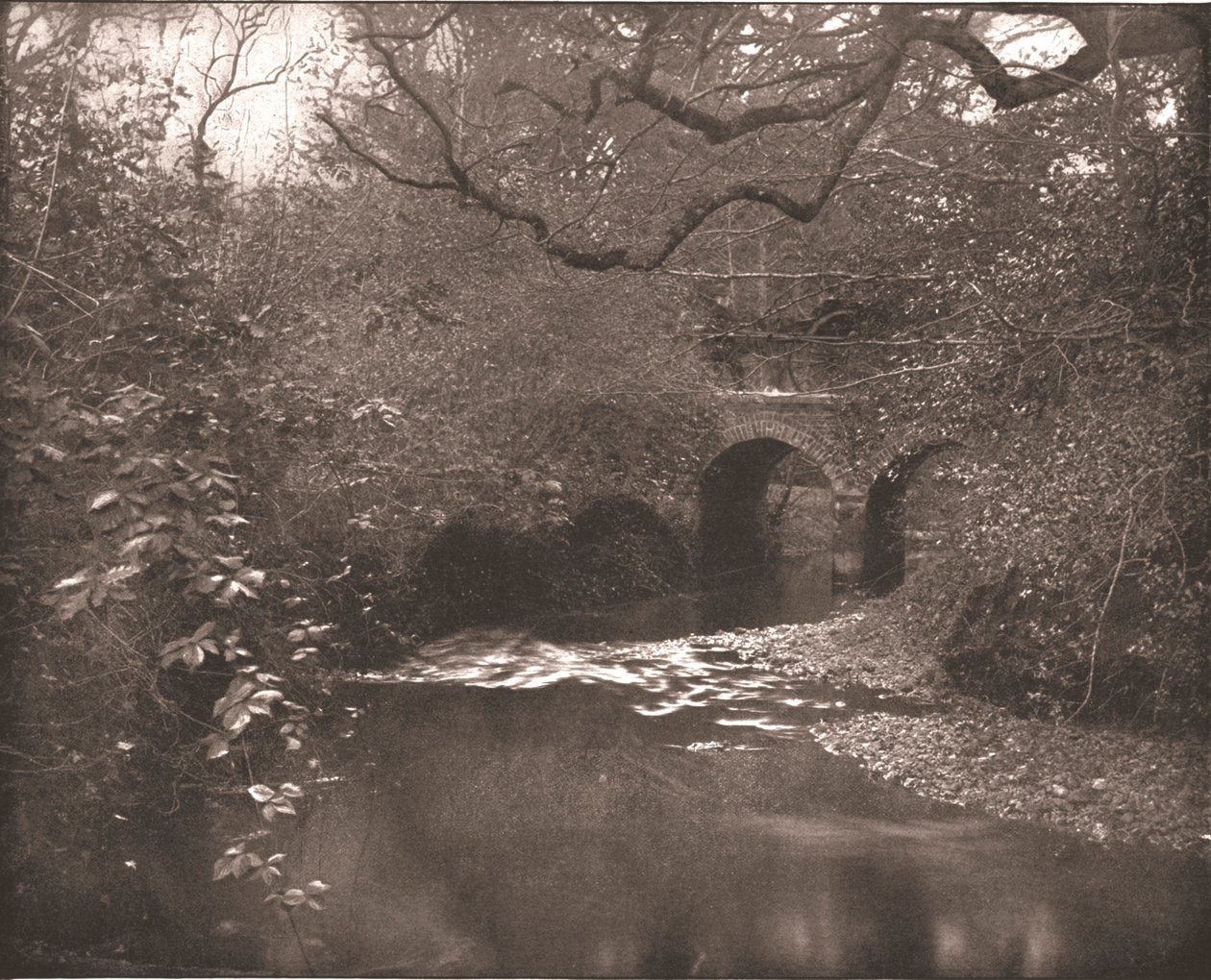 Ruisseau et pont dans la New Forest, Hampshire, 1894 - Unbekannt
