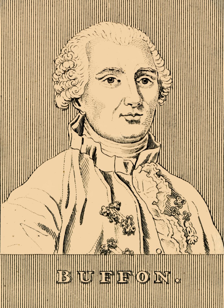 Buffon, 1707-1788, 1830 - Unbekannt