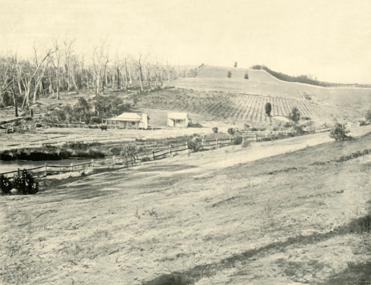 Maison de travailleur de brousse, Gippsland, Victoria, 1901 - Unbekannt