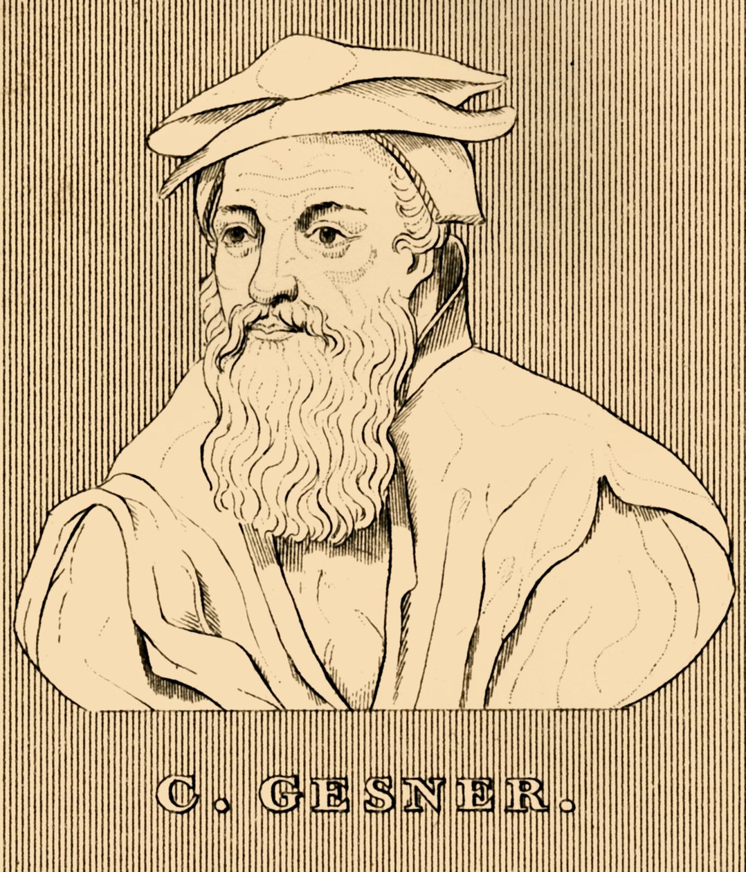 C. Gesner, 1516-1565, 1830 - Unbekannt