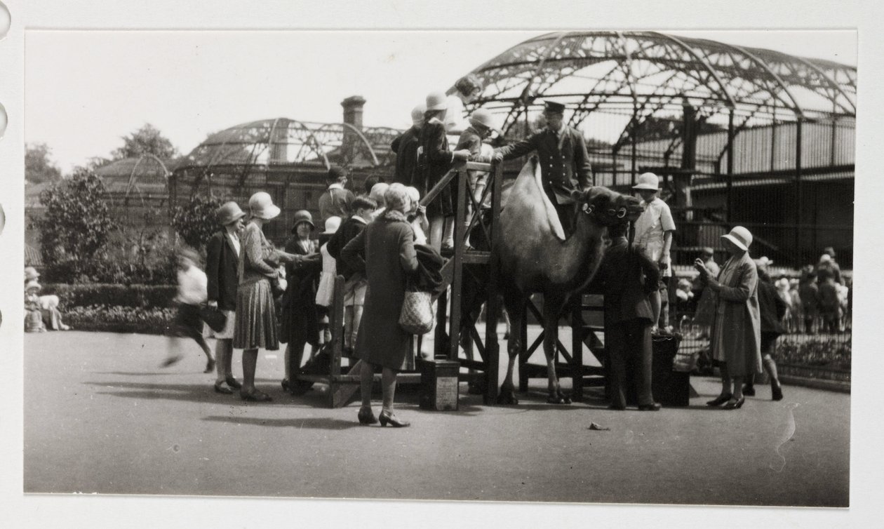 Balade à dos de chameau, vers 1930 - Unbekannt