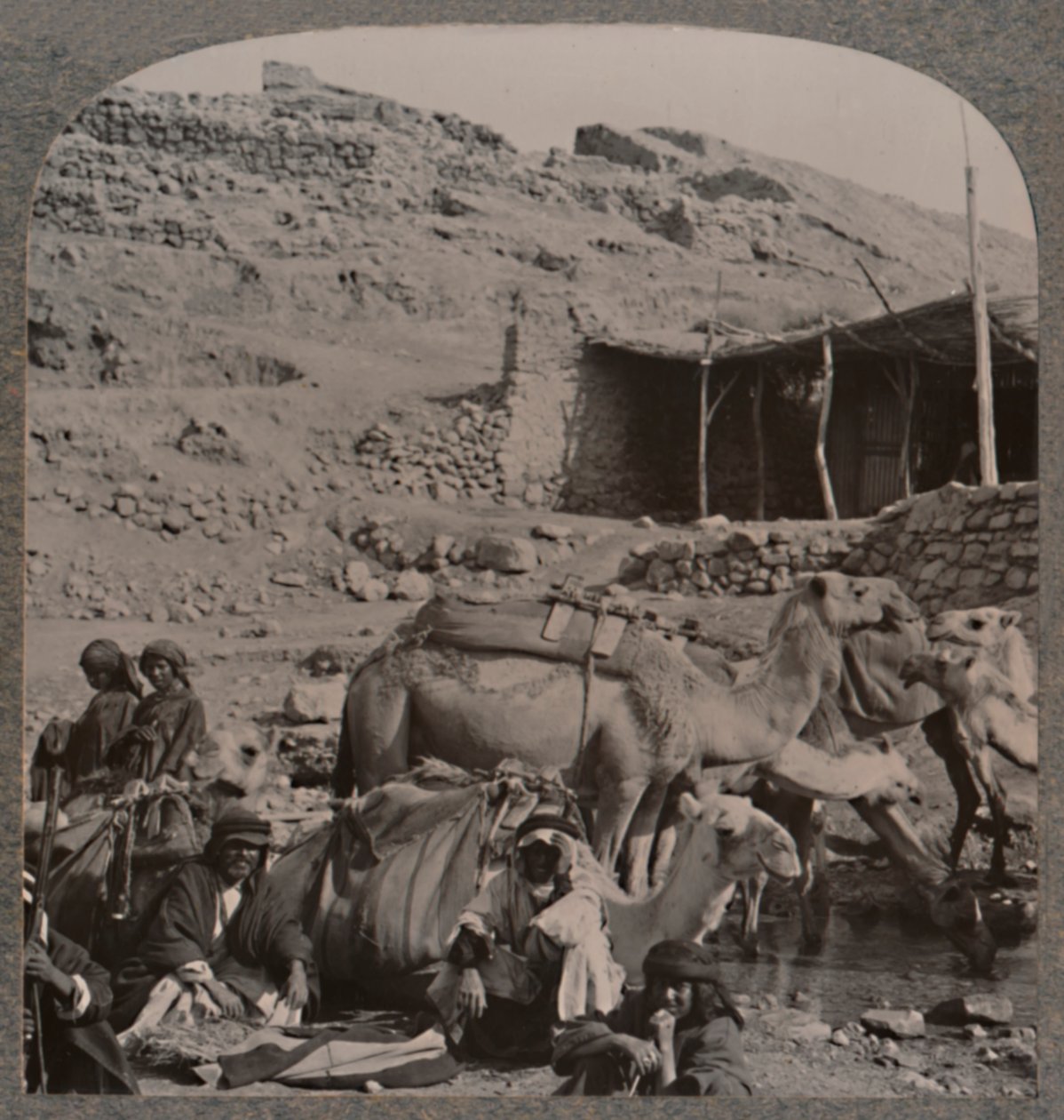 Caravane de chameaux de Jerash, s