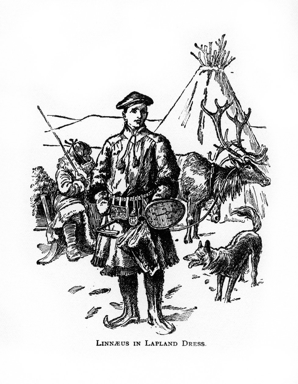 Carl von Linné, botaniste, médecin et zoologiste suédois du 18e siècle, 20e siècle - Unbekannt
