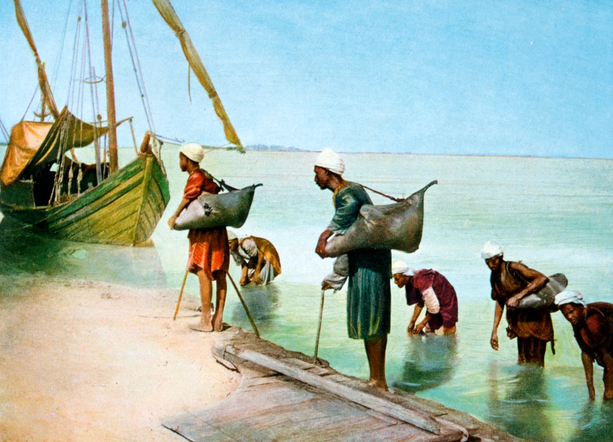 Portant de l
