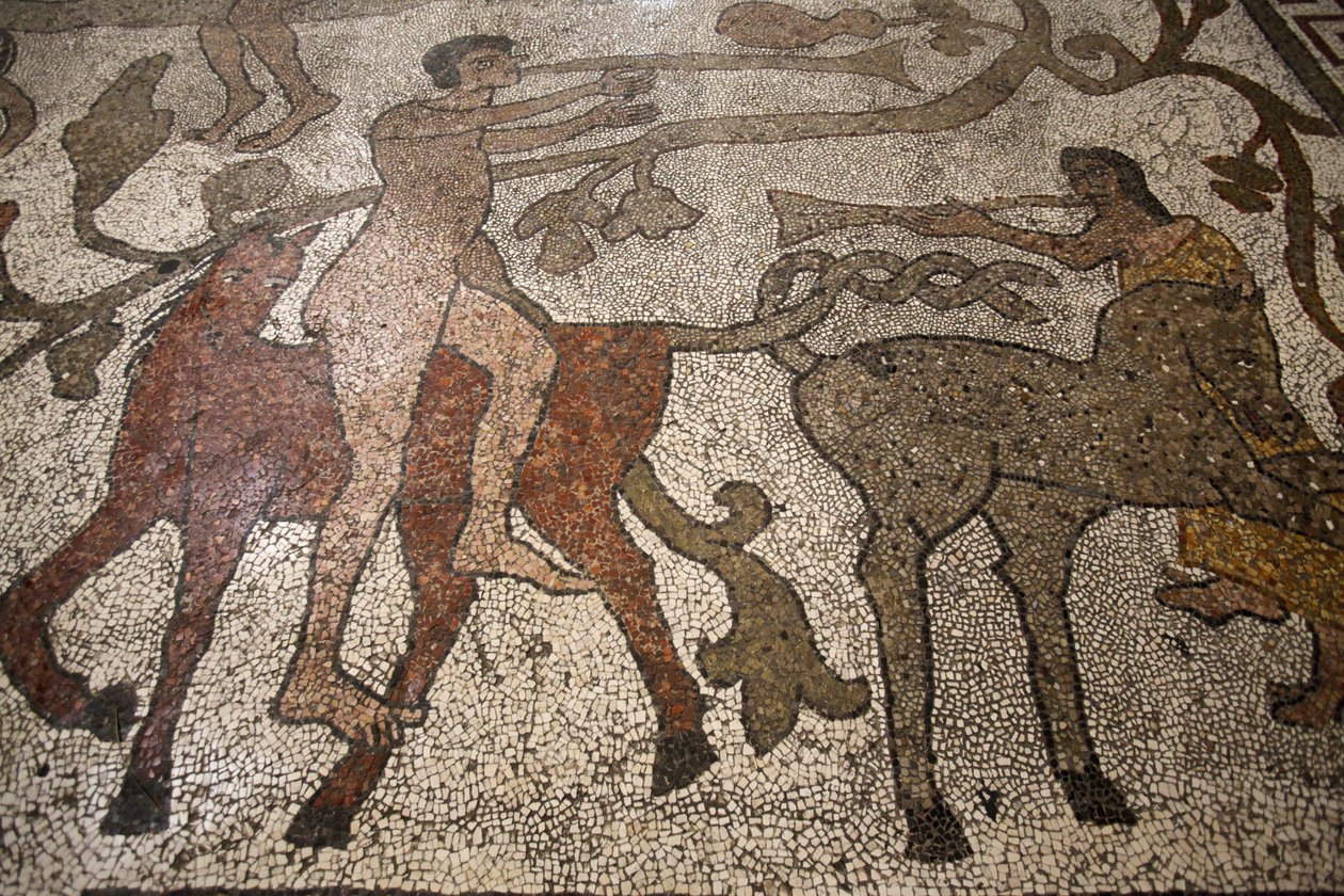 Mosaïque de la nef centrale sur le sol du duomo d