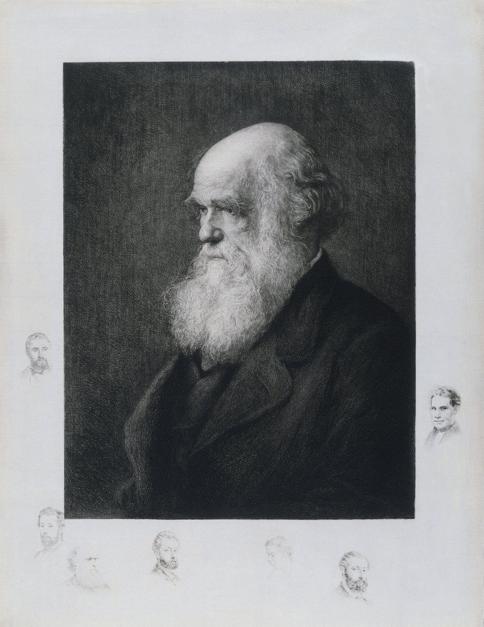Charles Darwin, naturaliste anglais, vers les années 1860 - Unbekannt