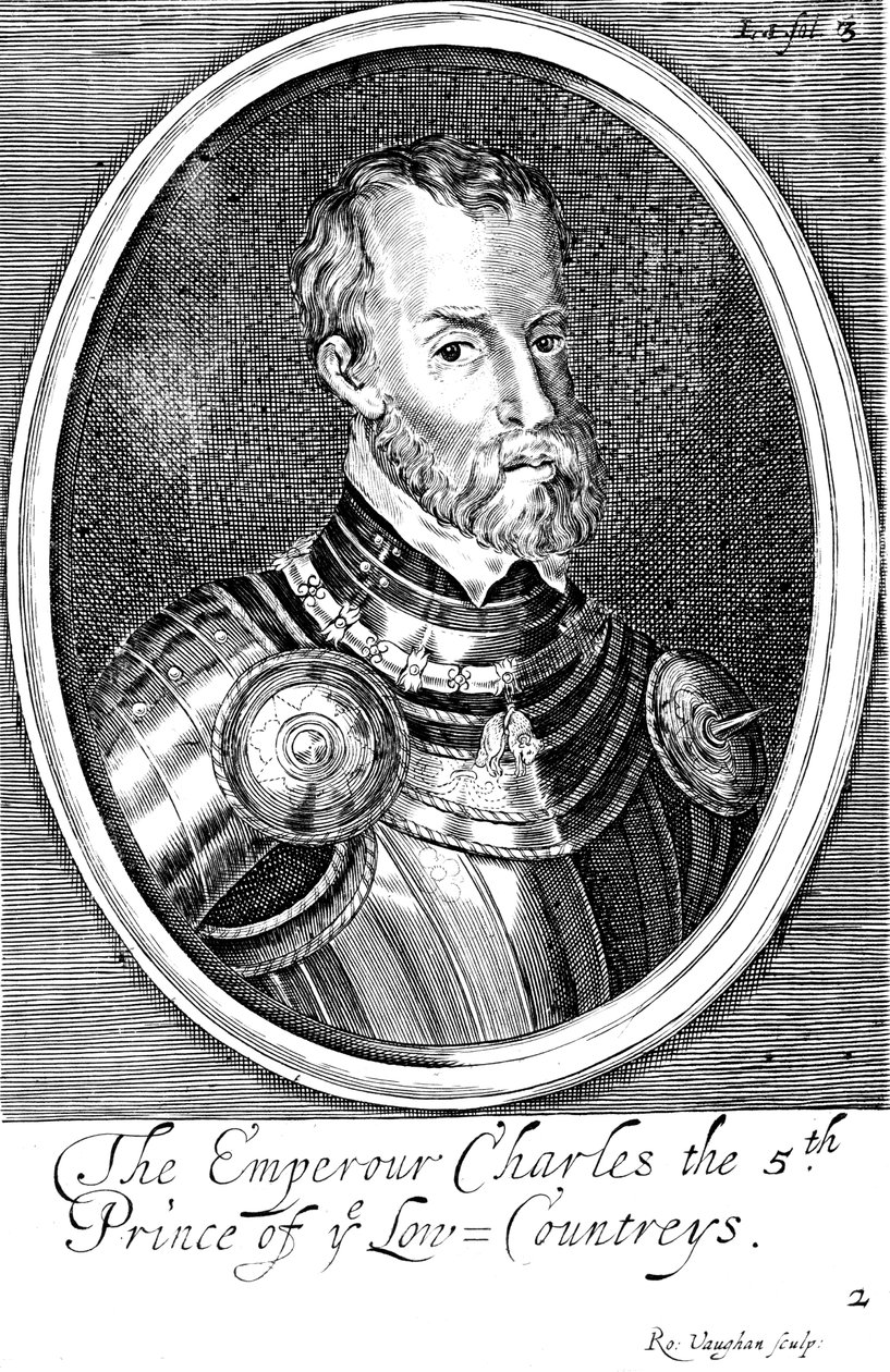 Charles V, roi d