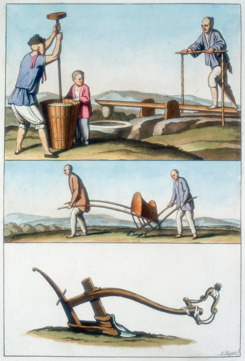 Agriculture chinoise, 1825-1835 - Unbekannt