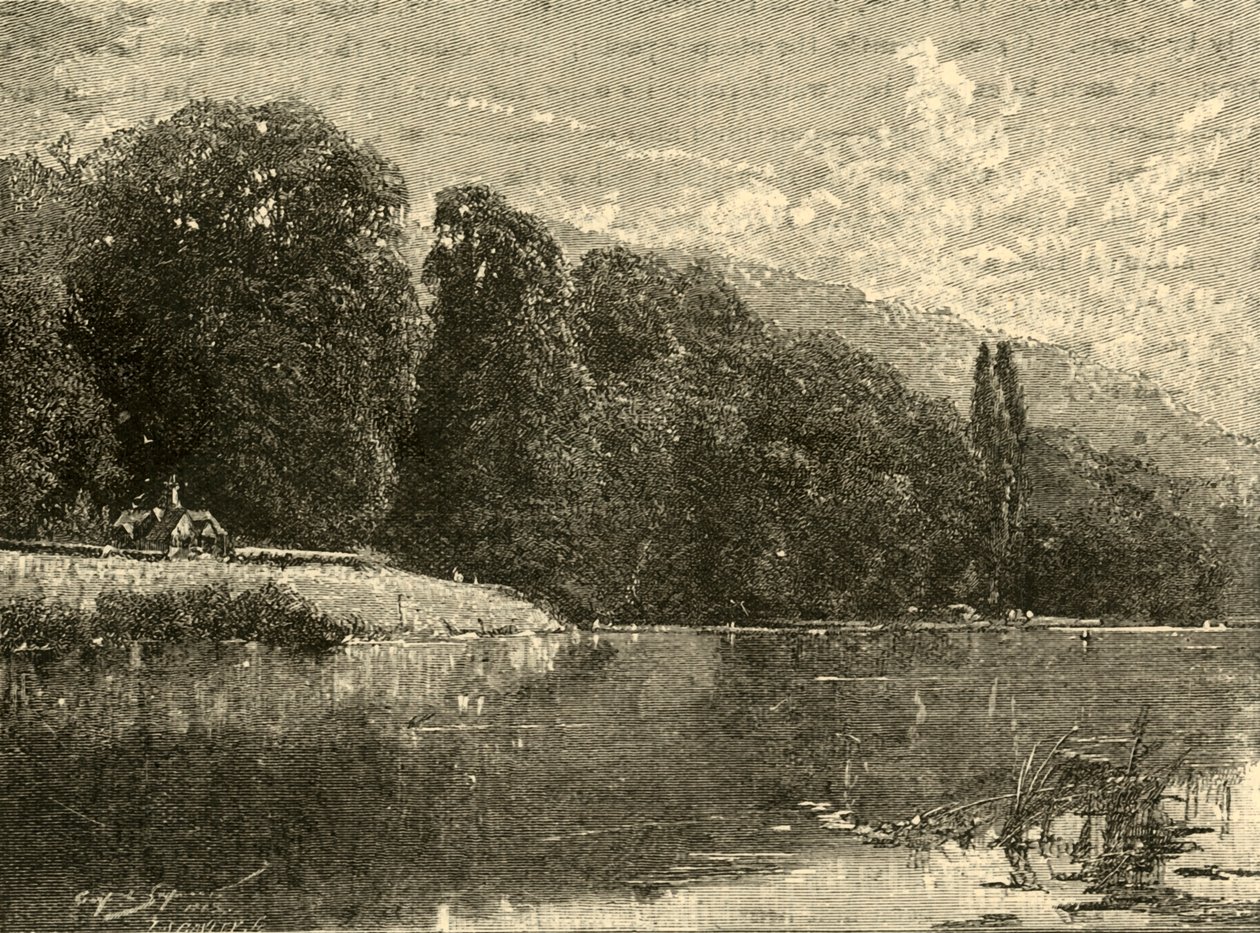 Cliefden Woods, 1898 - Unbekannt