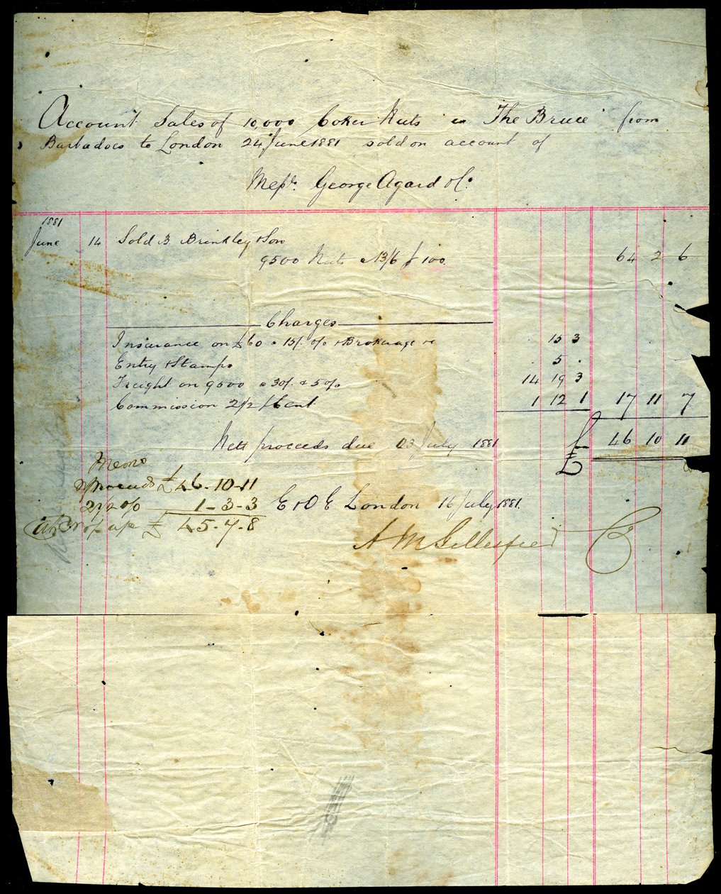 Reçu de vente de noix de coco, Barbade à Londres, 1881 - Unbekannt