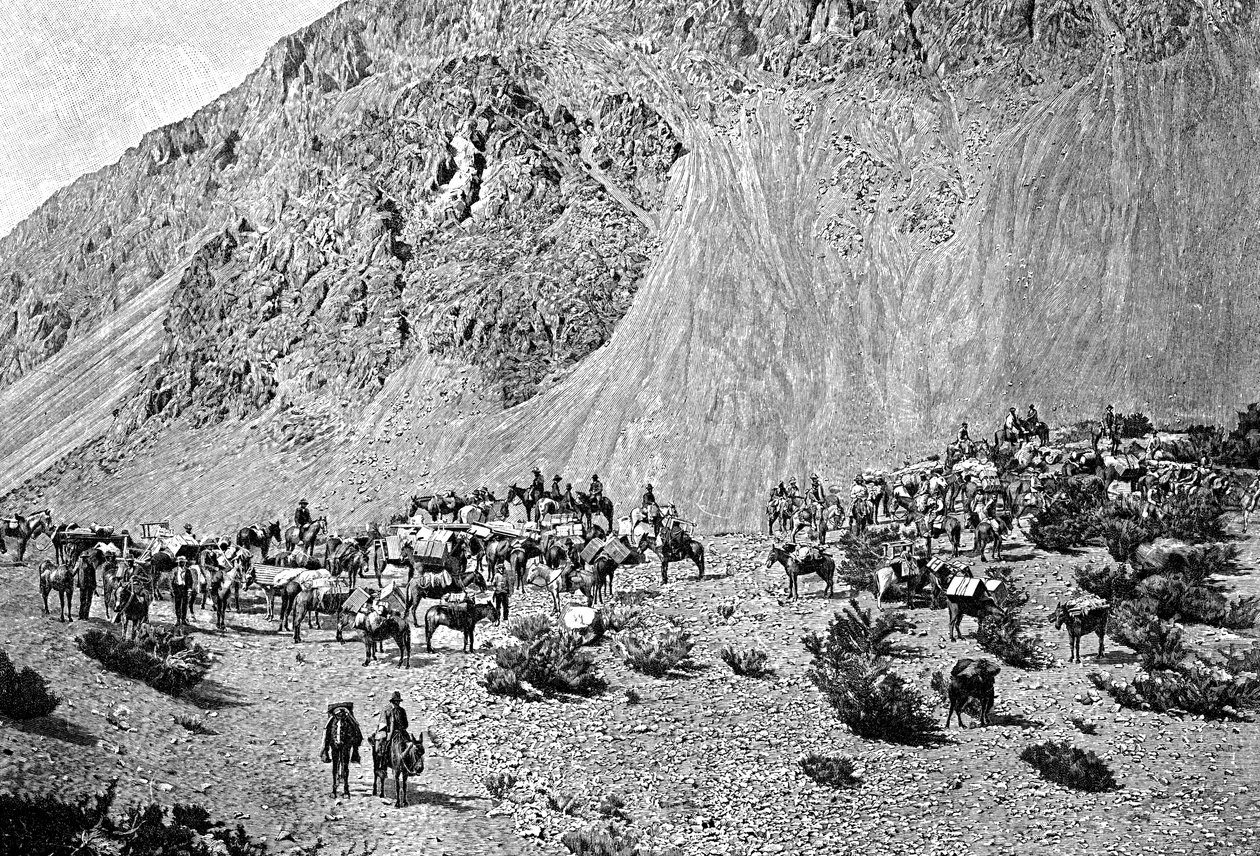 Convoi de muletiers au pied de la Cordillère, Amérique du Sud - Unbekannt
