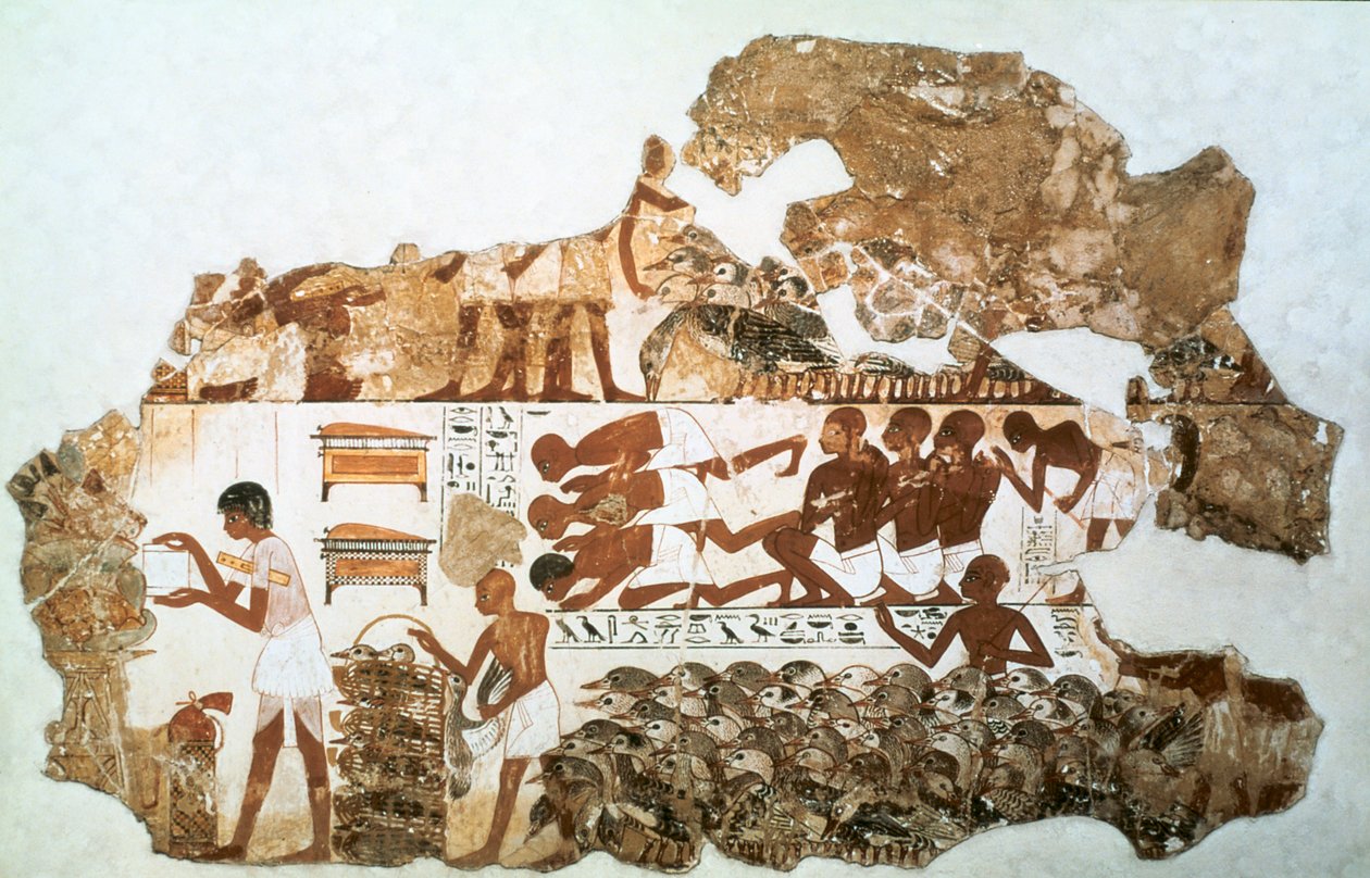 Comptage des oies : fragment de peinture murale de la tombe de Nebamun, Thèbes, Égypte, vers 1350 av. J.-C. - Unbekannt