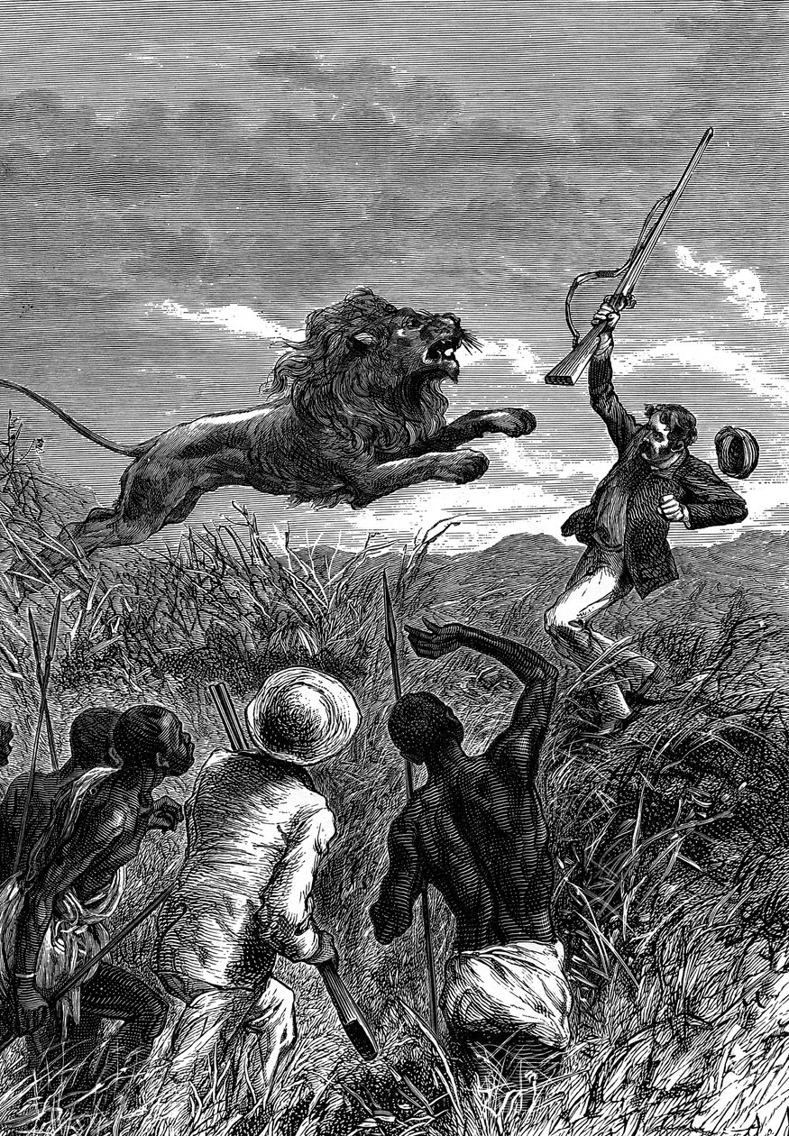 David Livingstone, missionnaire écossais et explorateur africain, attaqué par un lion, vers 1860 - Unbekannt