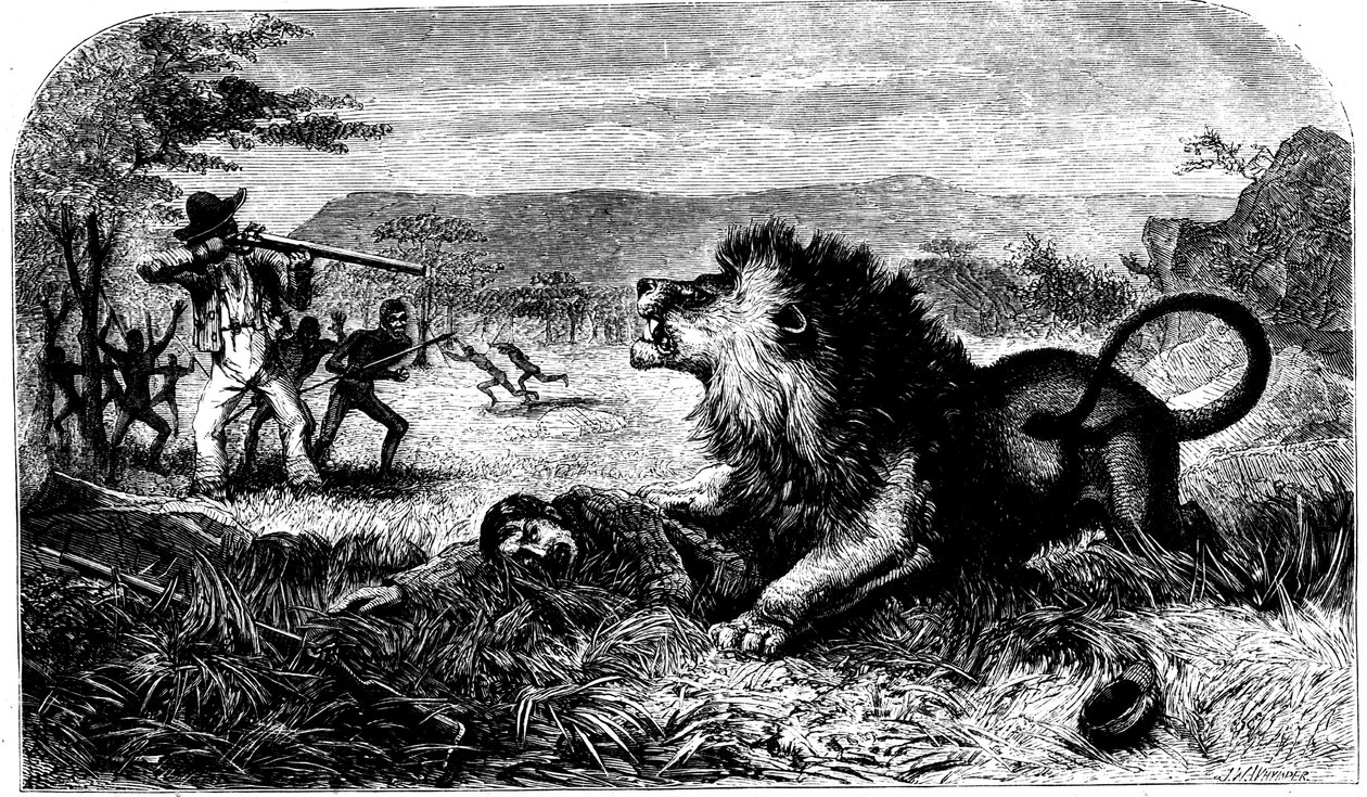 David Livingstone, sauvé d