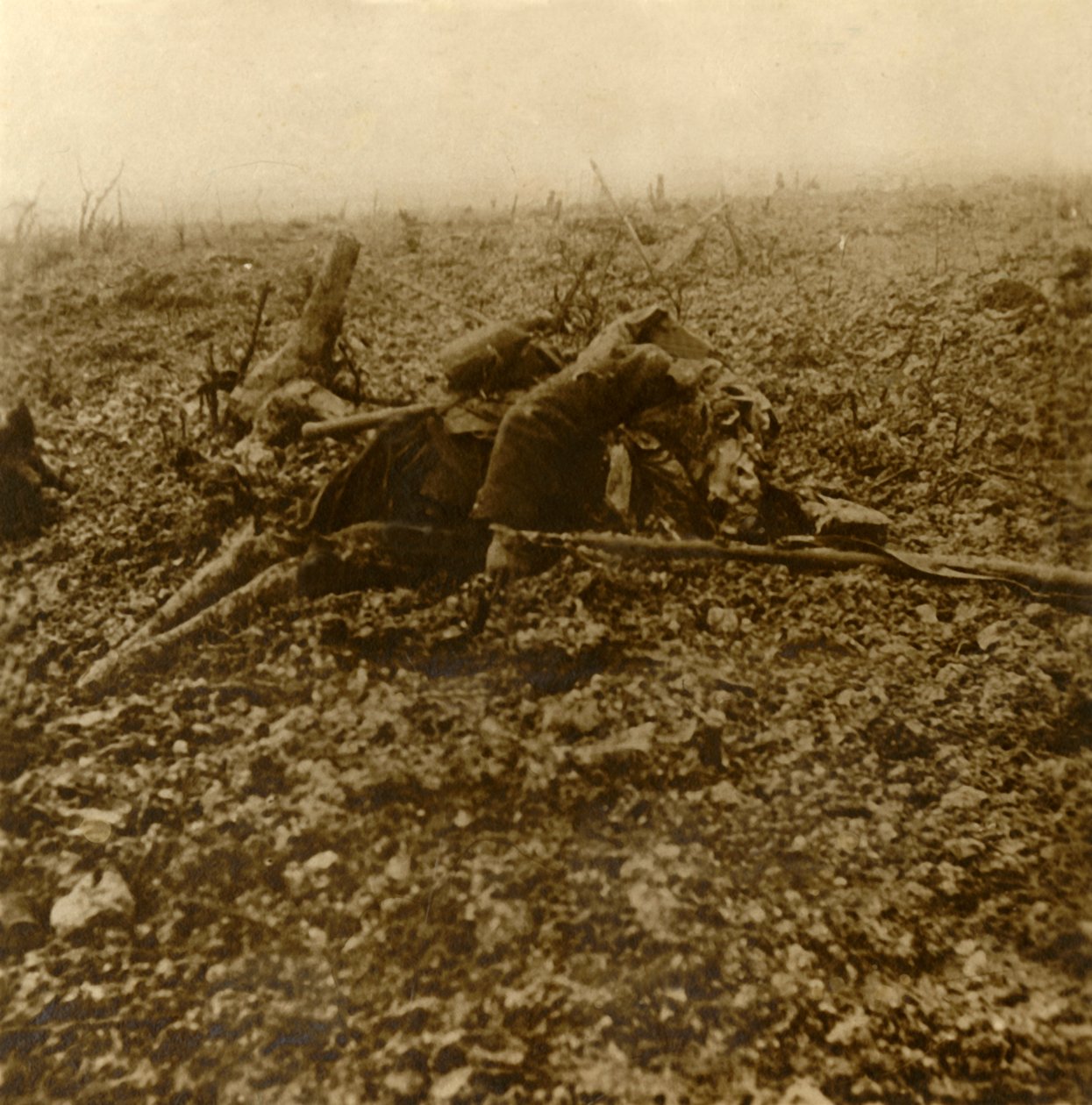 Soldat mort sur la colline 304, après la bataille de Verdun, nord de la France, 1916 - Unbekannt