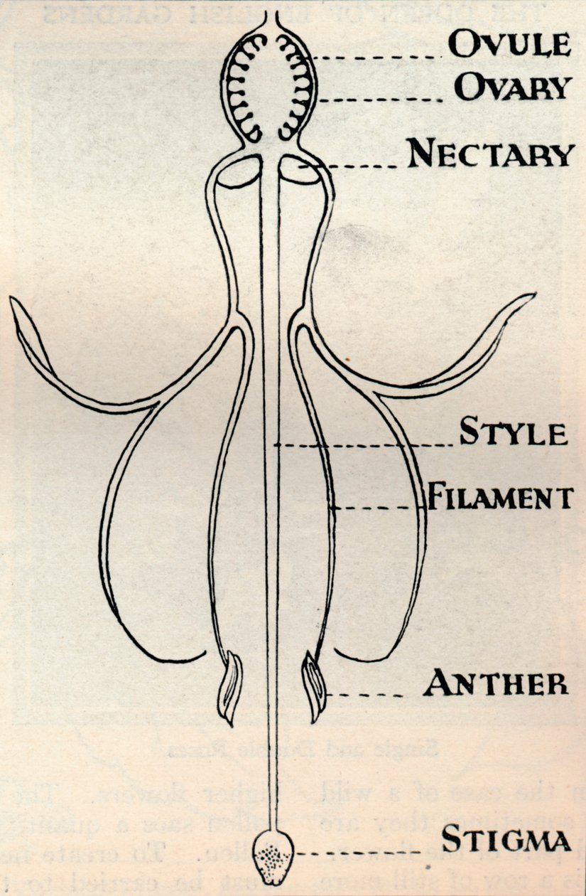 Diagramme d