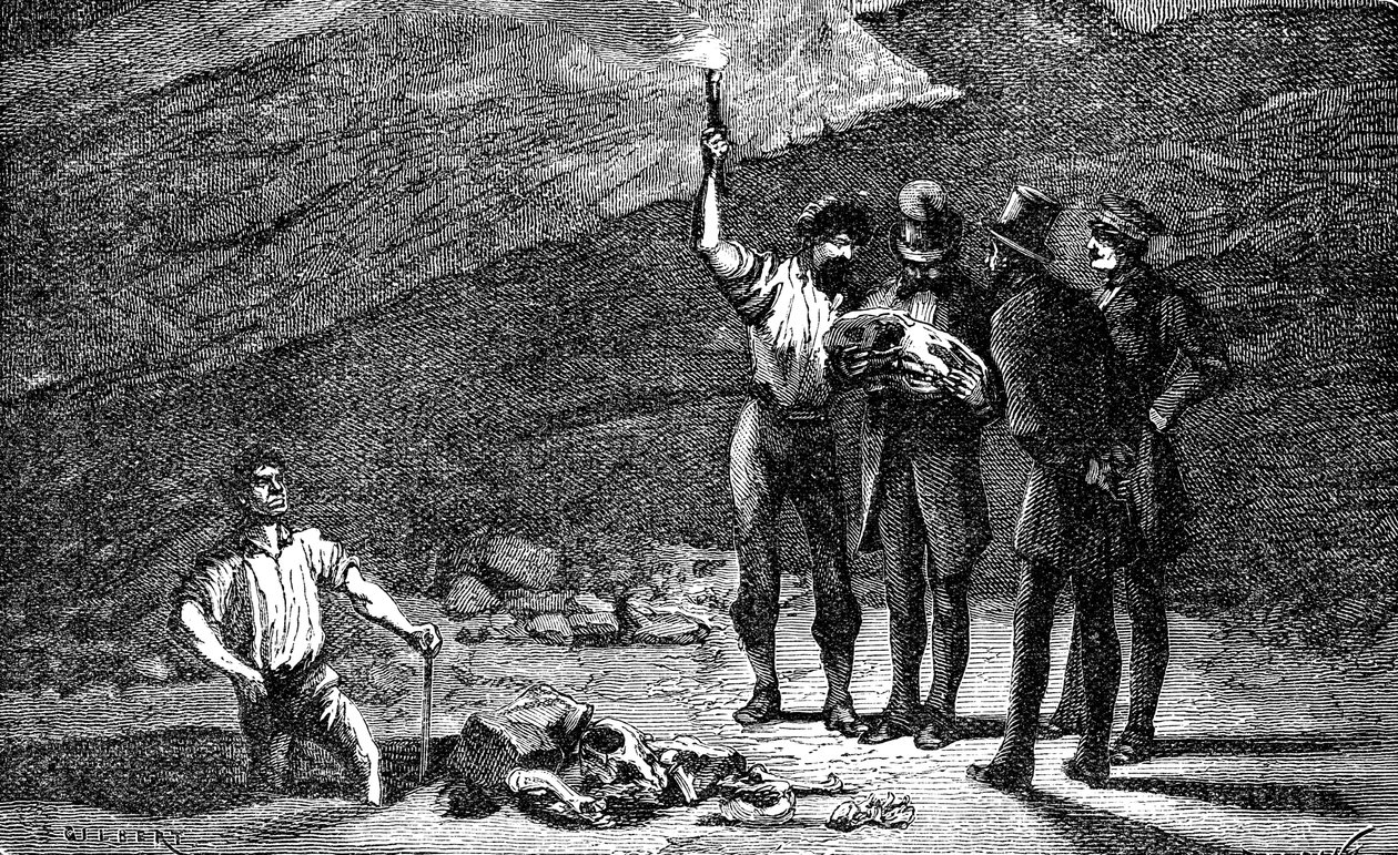 Découverte de fossiles d