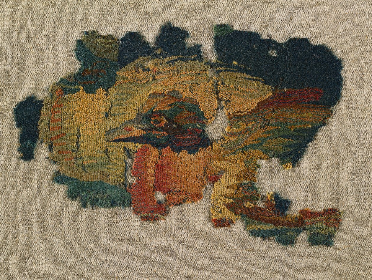 Tête de canard d