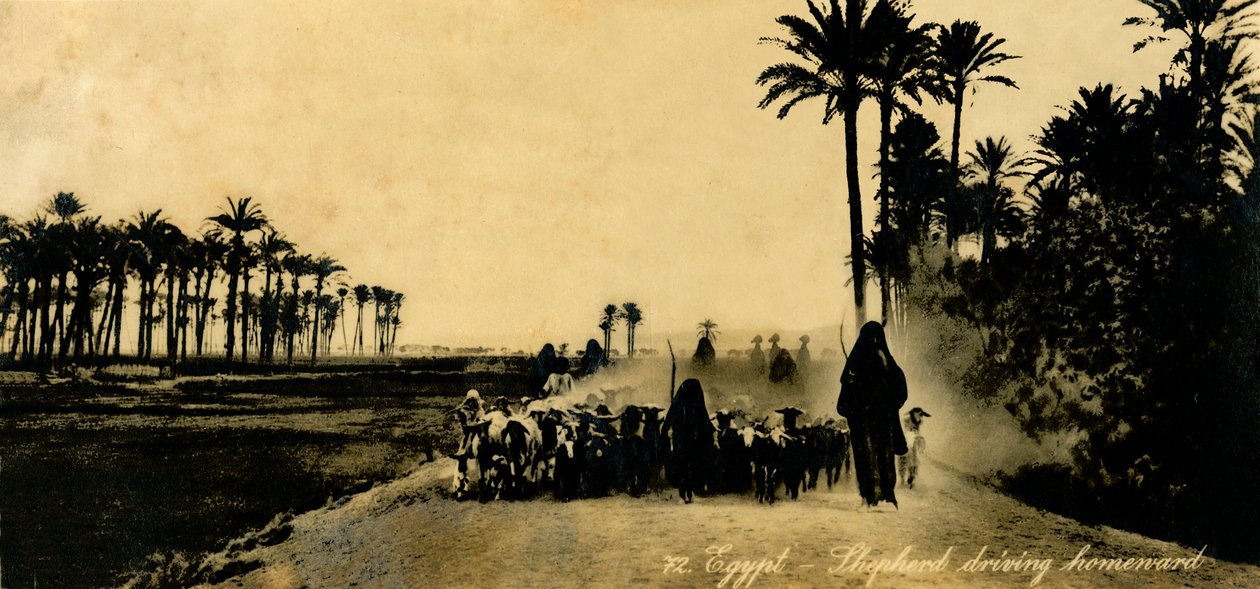 Égypte - Berger rentrant chez lui, vers 1918-1939 - Unbekannt
