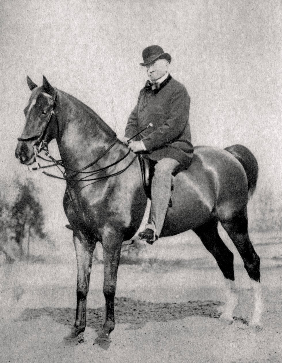 Émile de Girardin, journaliste, publiciste et homme politique français, 1866 - Unbekannt