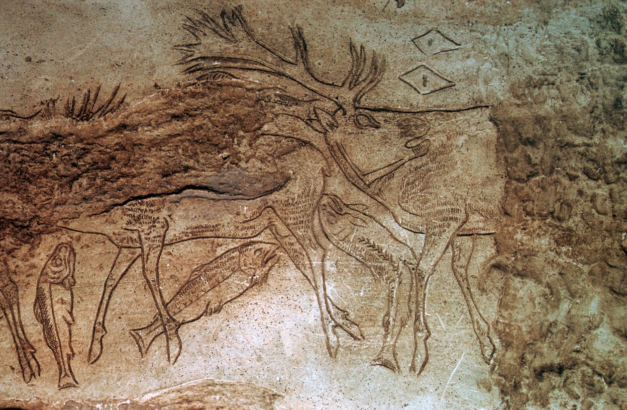 Os gravé de Lortet, Hautes-Pyrénées - Unbekannt
