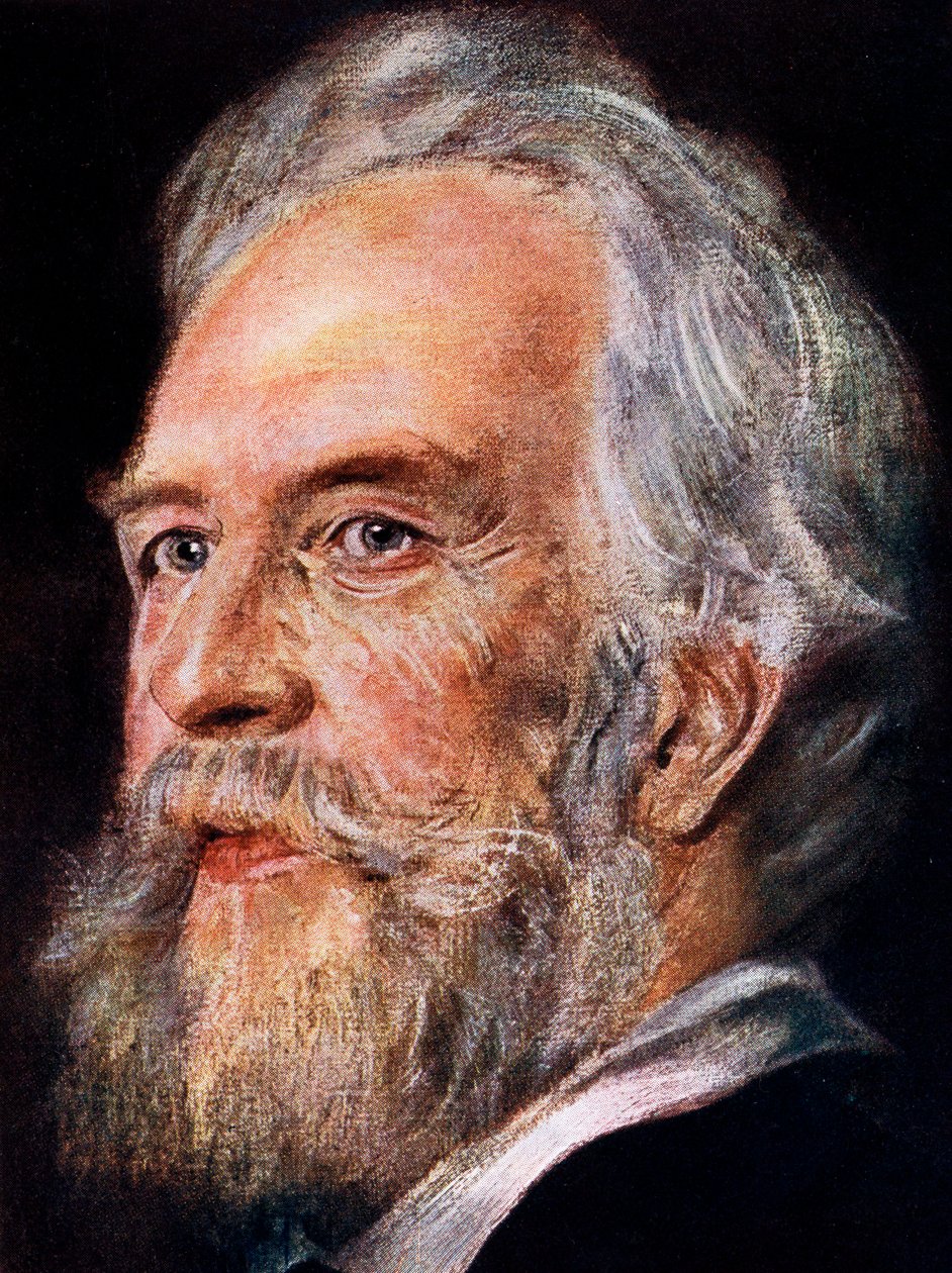 Ernst Haeckel, zoologiste et évolutionniste allemand, 1899 - Unbekannt