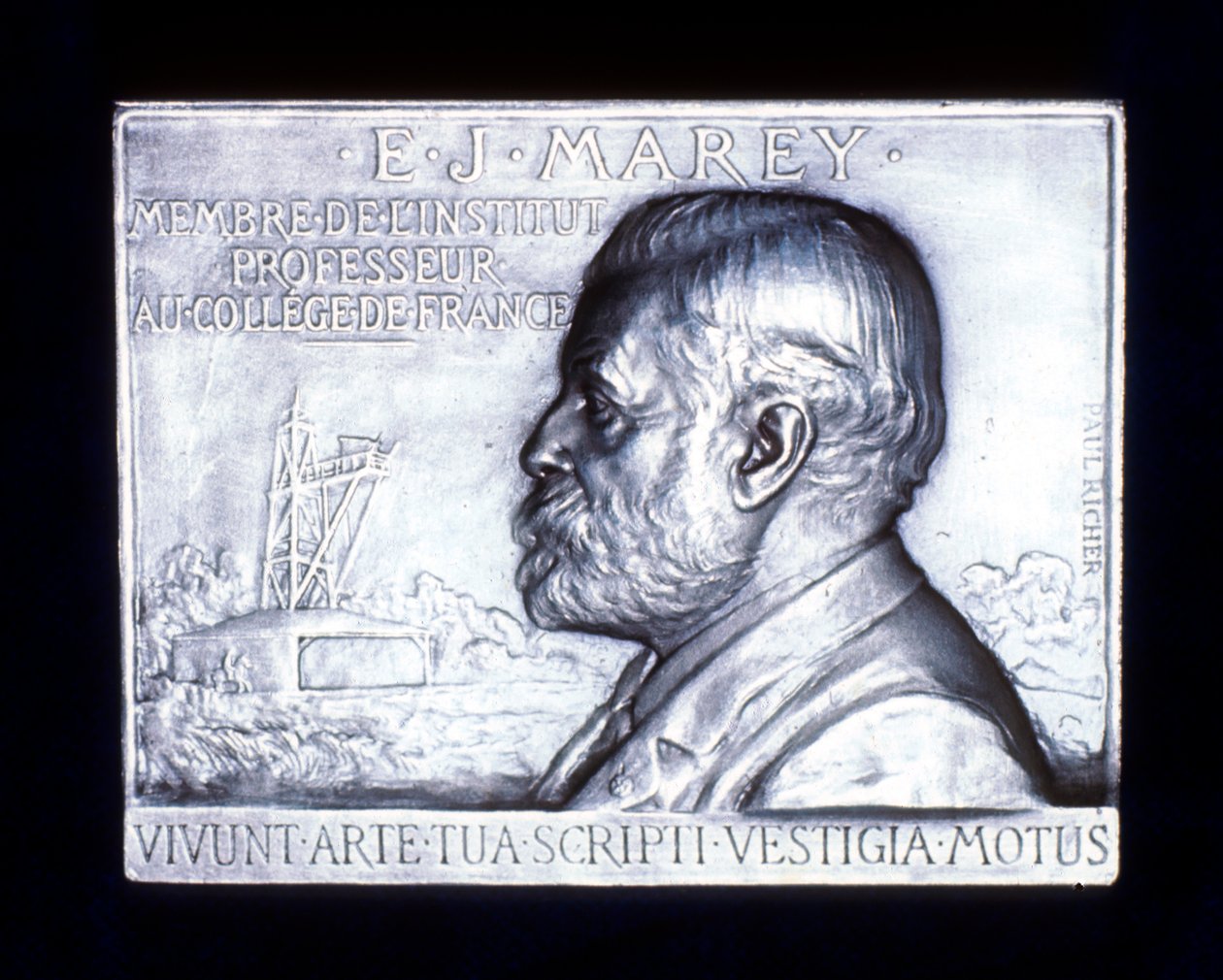 Étienne Jules Marey, physiologiste français, 19e siècle - Unbekannt