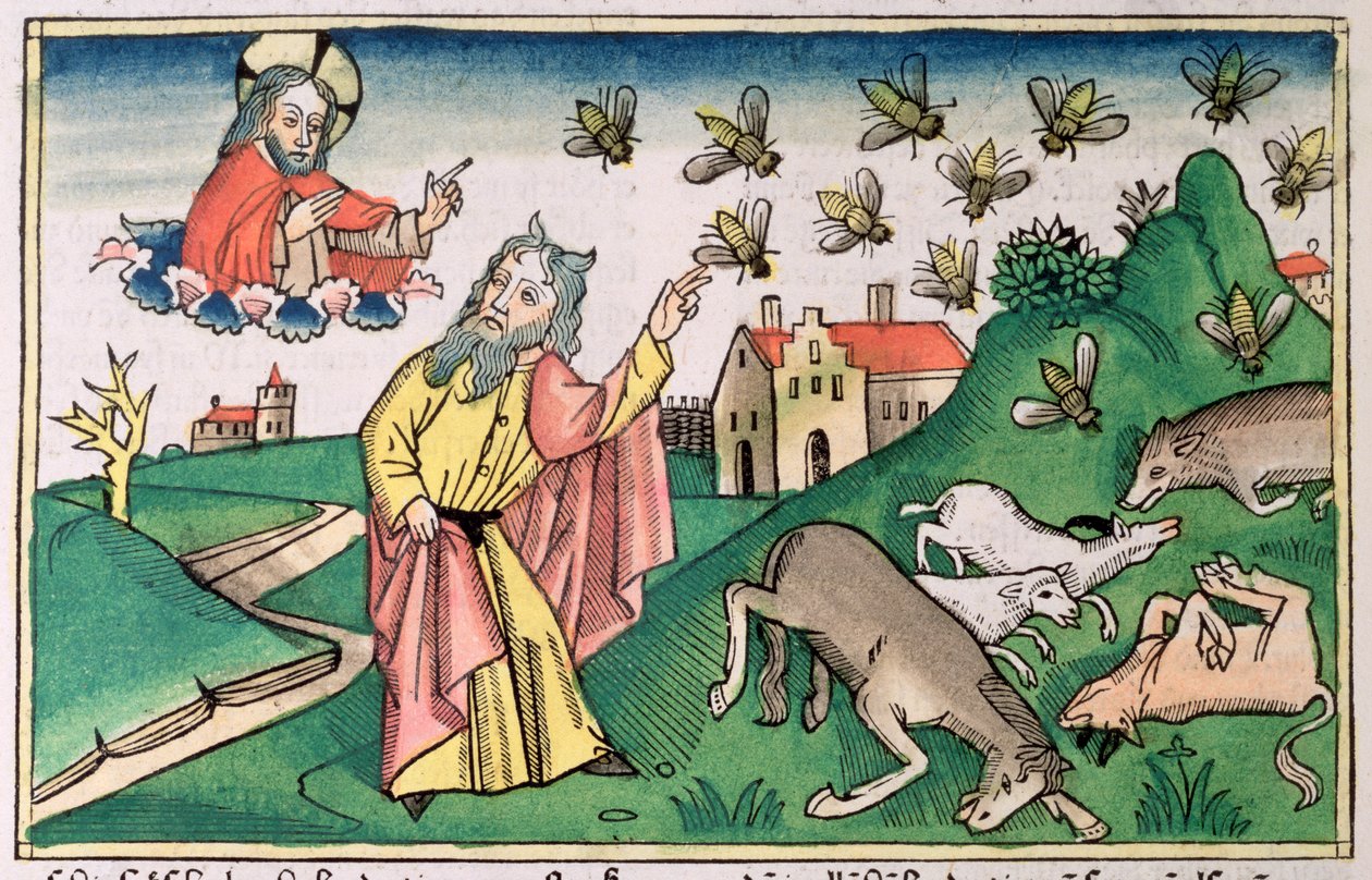 Exode 8:20-32: Moïse et l
