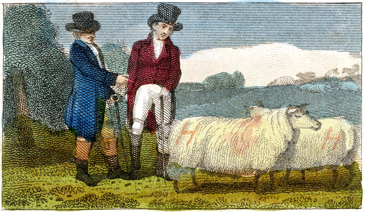 Agriculteurs discutant des moutons Dishley New Leicester, 1822 - Unbekannt