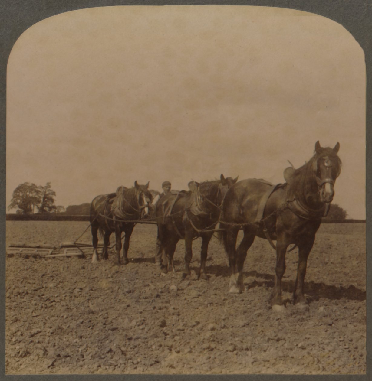 Agriculture en Angleterre - Hersage de la terre, 1909 - Unbekannt