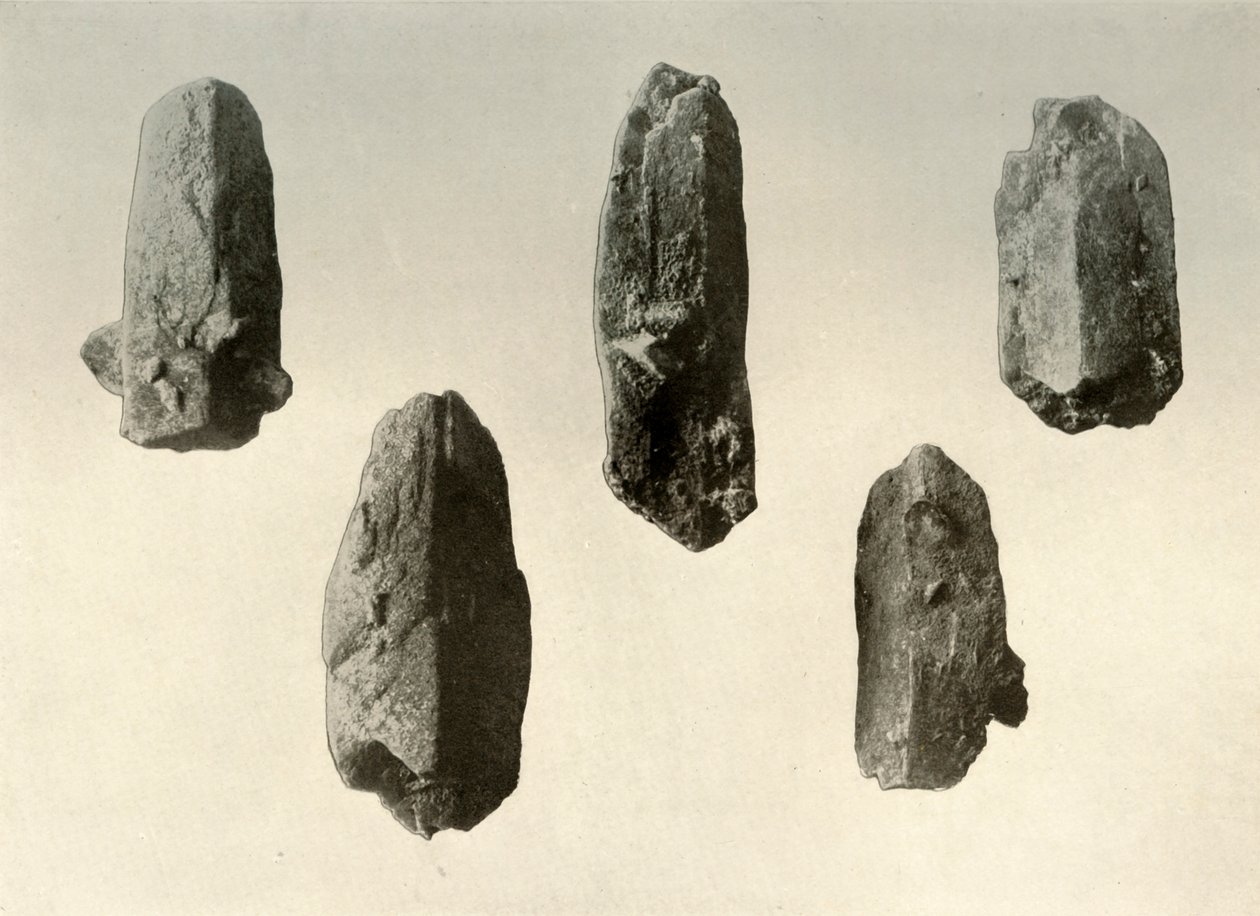 Cristaux de feldspath du sommet du mont Erebus Taille naturelle, 1909 - Unbekannt