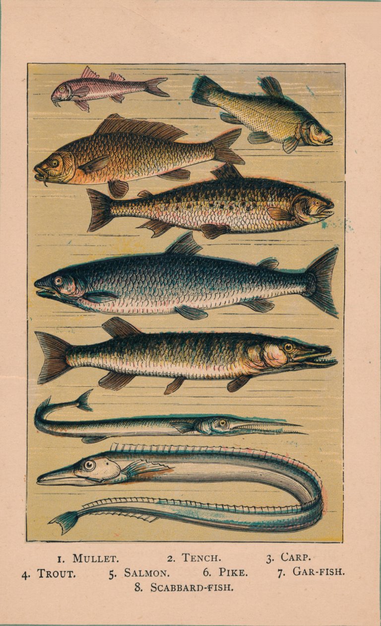 Poisson, 1907 - Unbekannt