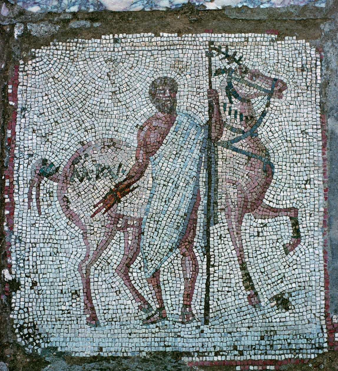 Mosaïque de sol d