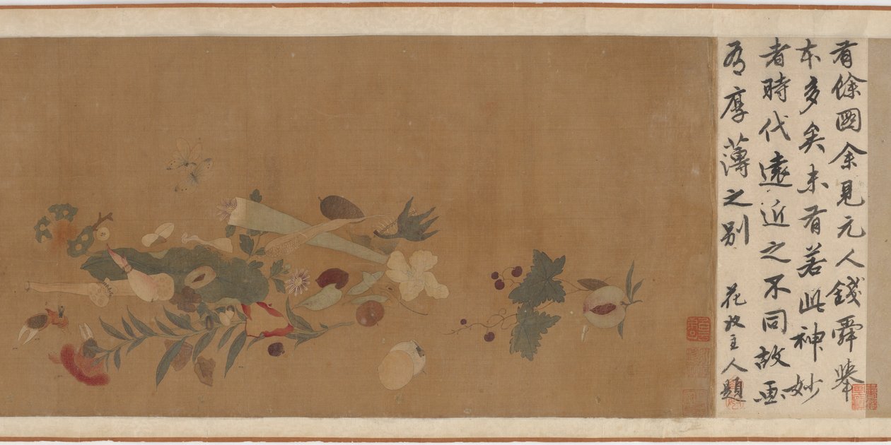 Fleurs, fruits, coquillages et insectes, 1368-1644 - Unbekannt