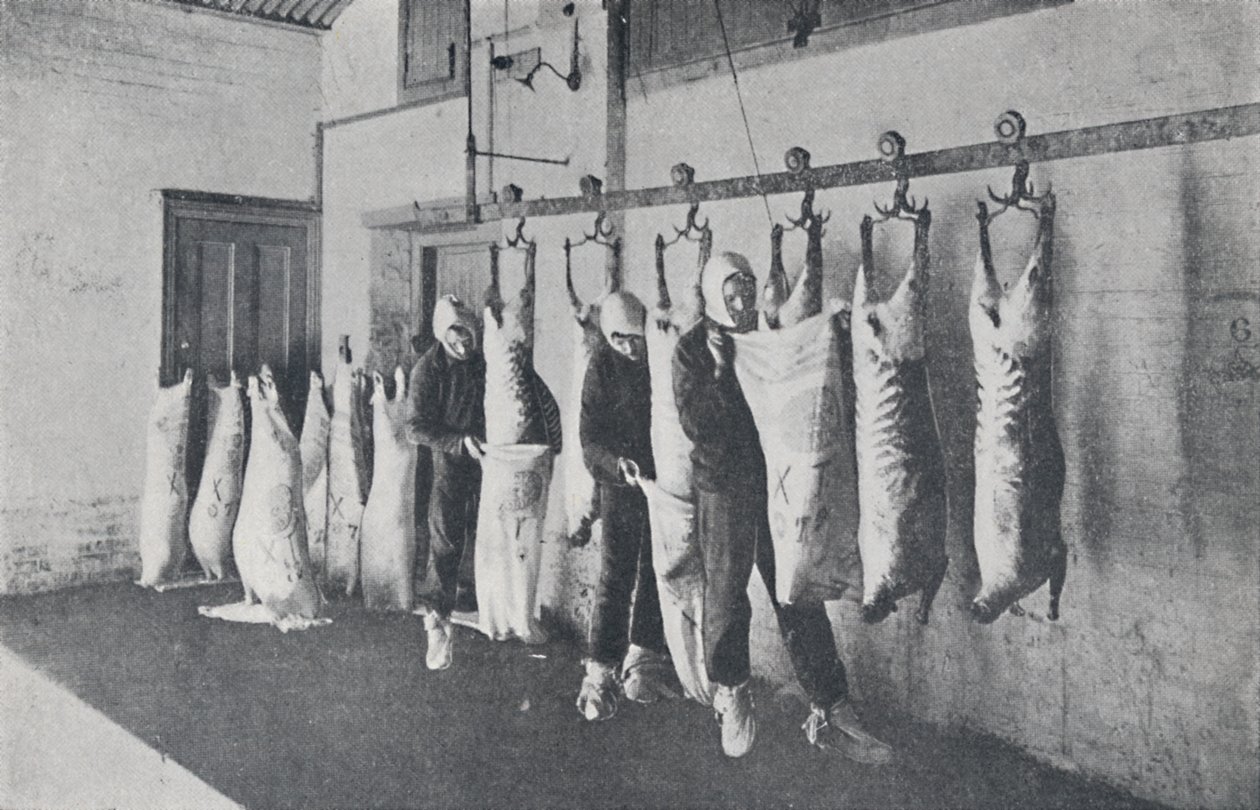 Viande congelée, 1923 - Unbekannt