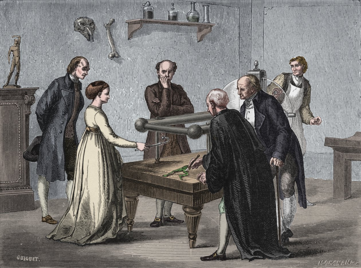 Découverte de Galvani, 1780, 1894 - Unbekannt