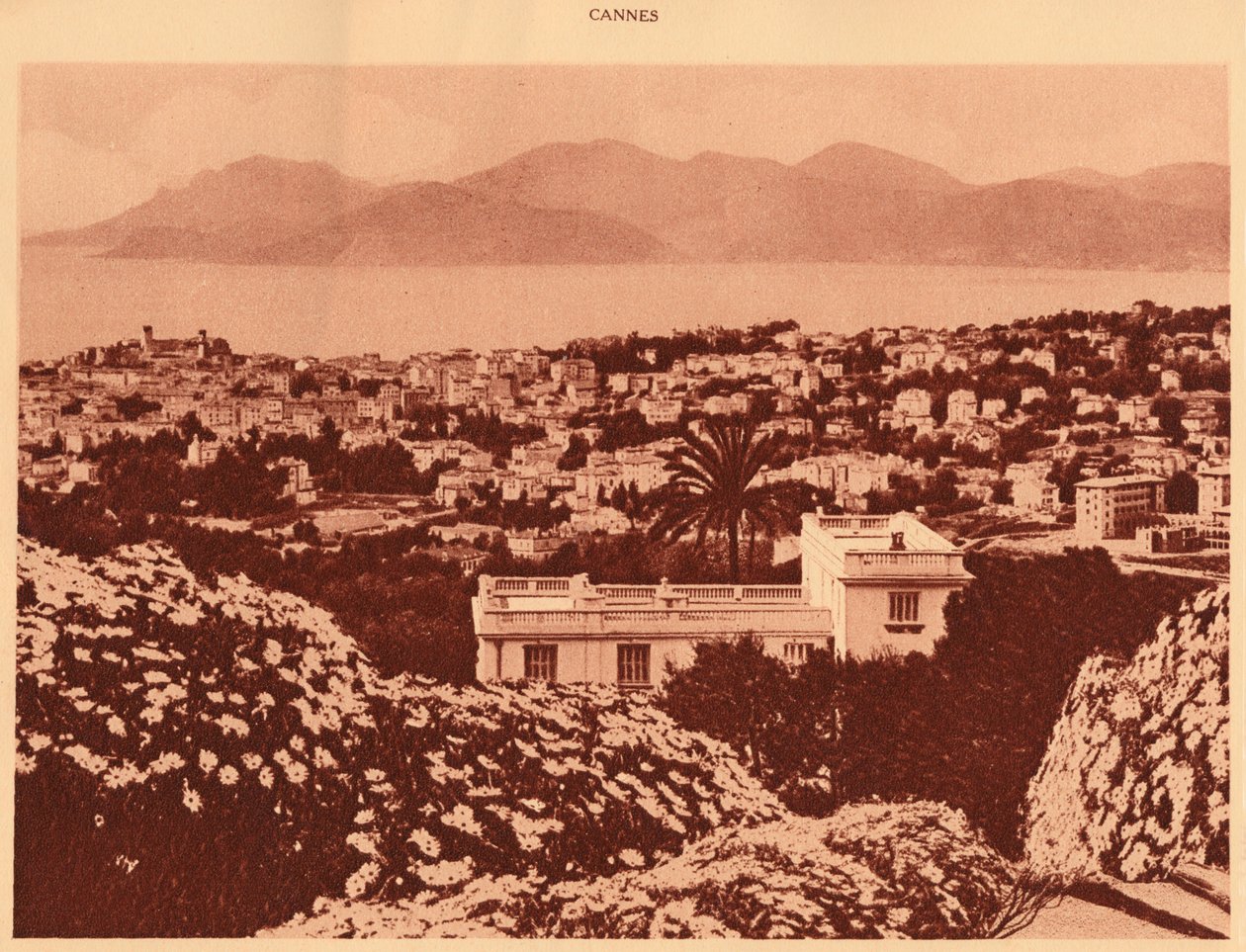 Vue générale prise de Pezou, Cannes, 1930 - Unbekannt