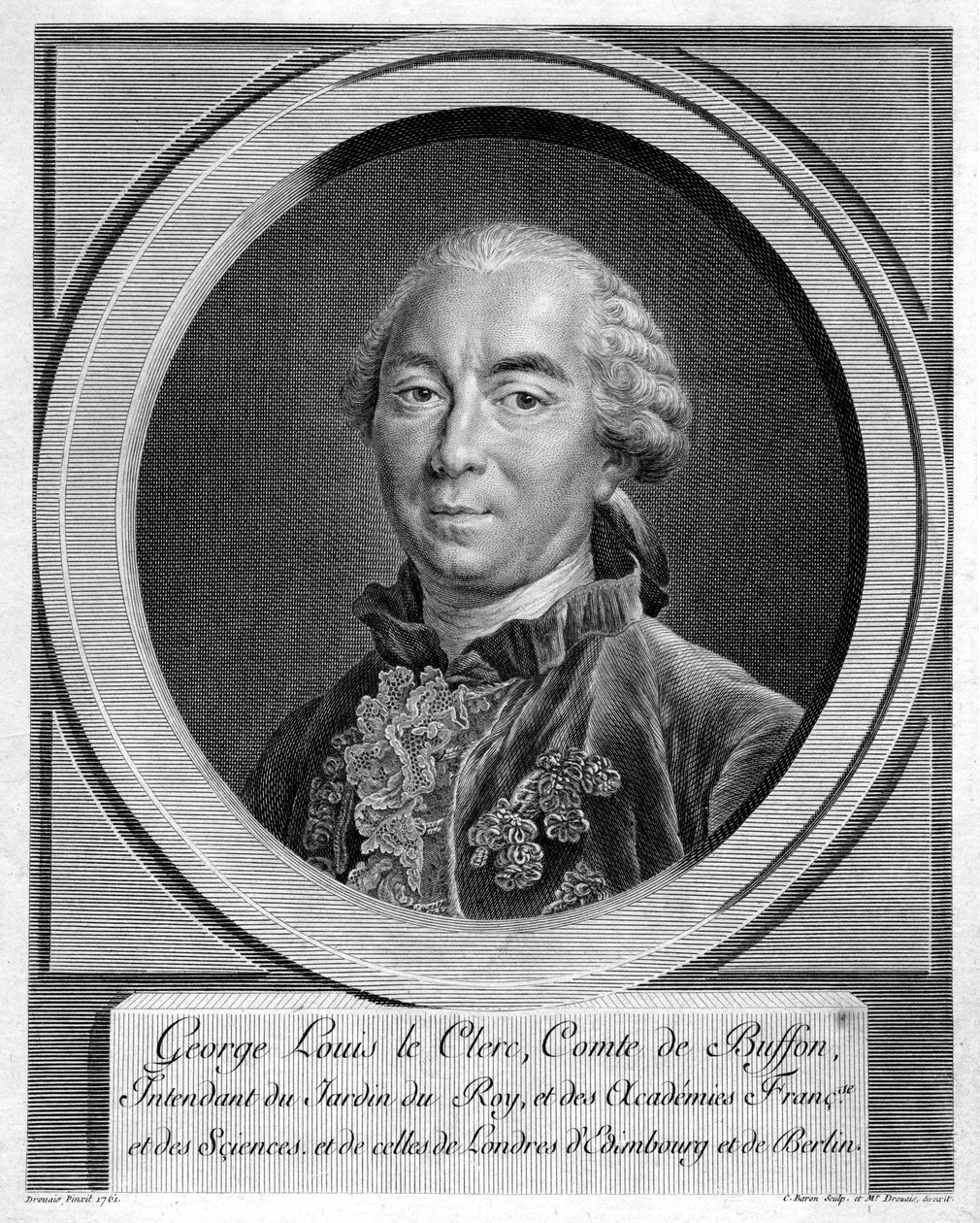 Georges-Louis Leclerc, Comte du Buffon, naturaliste français - Unbekannt
