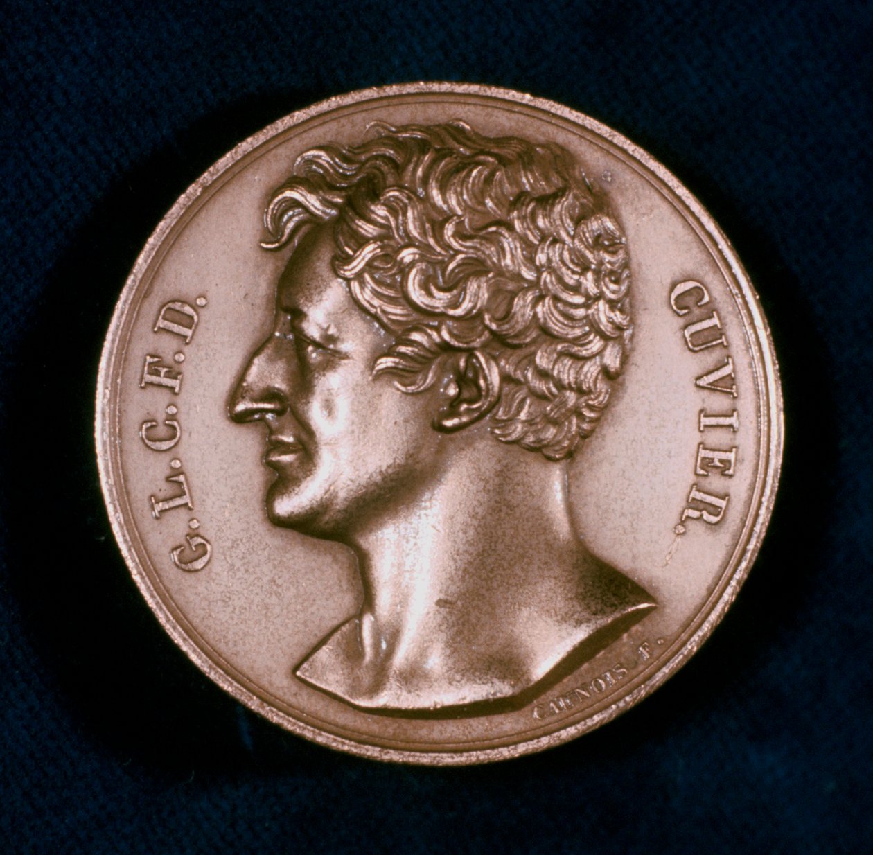 Georges Léopold Chrétien Frédéric Dagobert, Baron Cuvier, anatomiste français, 19ème siècle - Unbekannt